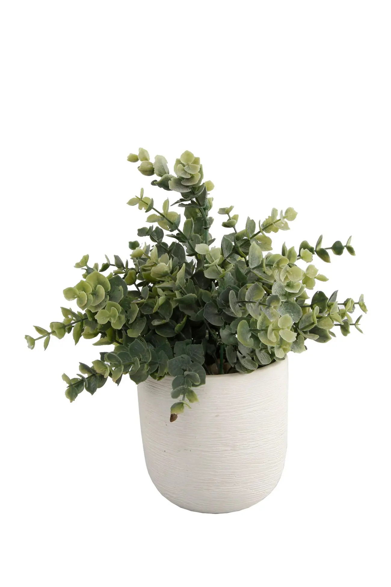 FLORA BUNDA | White Faux Succulent Ceramic Planter | Nordstrom Rack | Nordstrom Rack