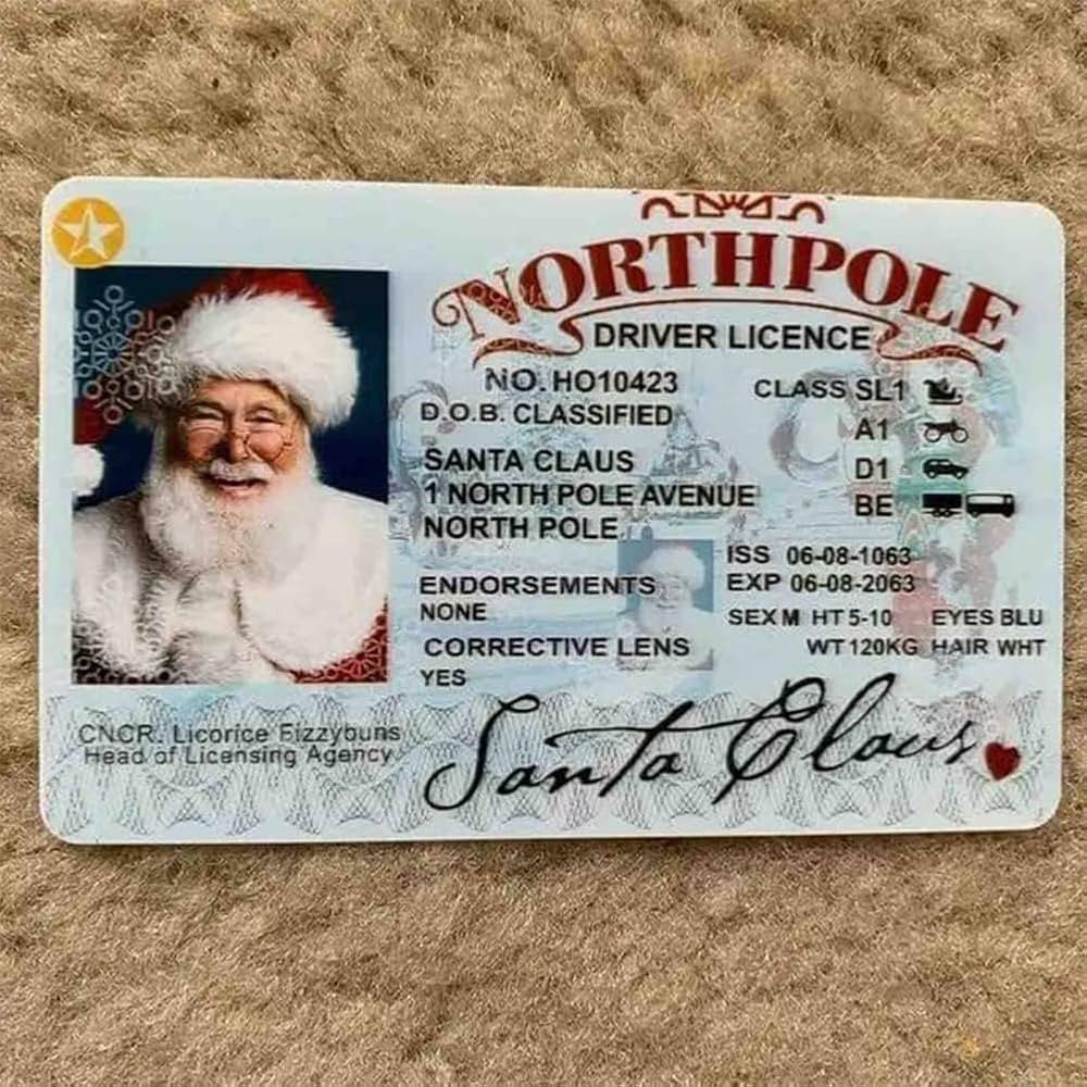Santa Claus Lost Drivers License Christmas Decorations,Novelty Santa Sleigh Flying License ID Car... | Amazon (US)