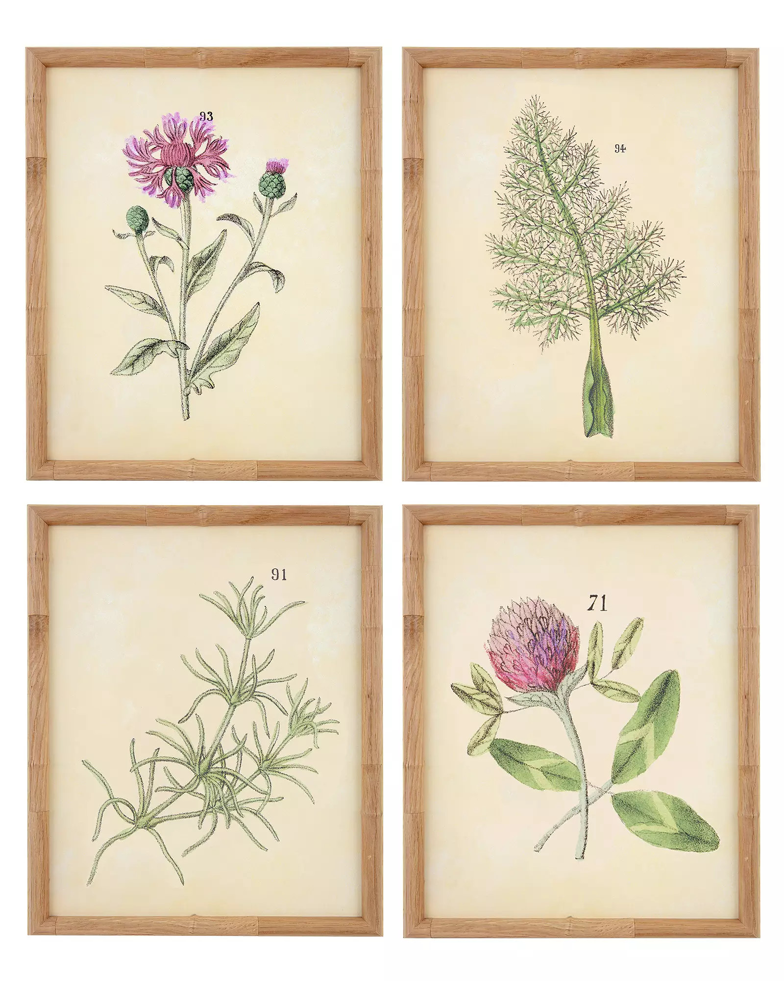"Herb Series I" by Whalebone Creek | Serena and Lily