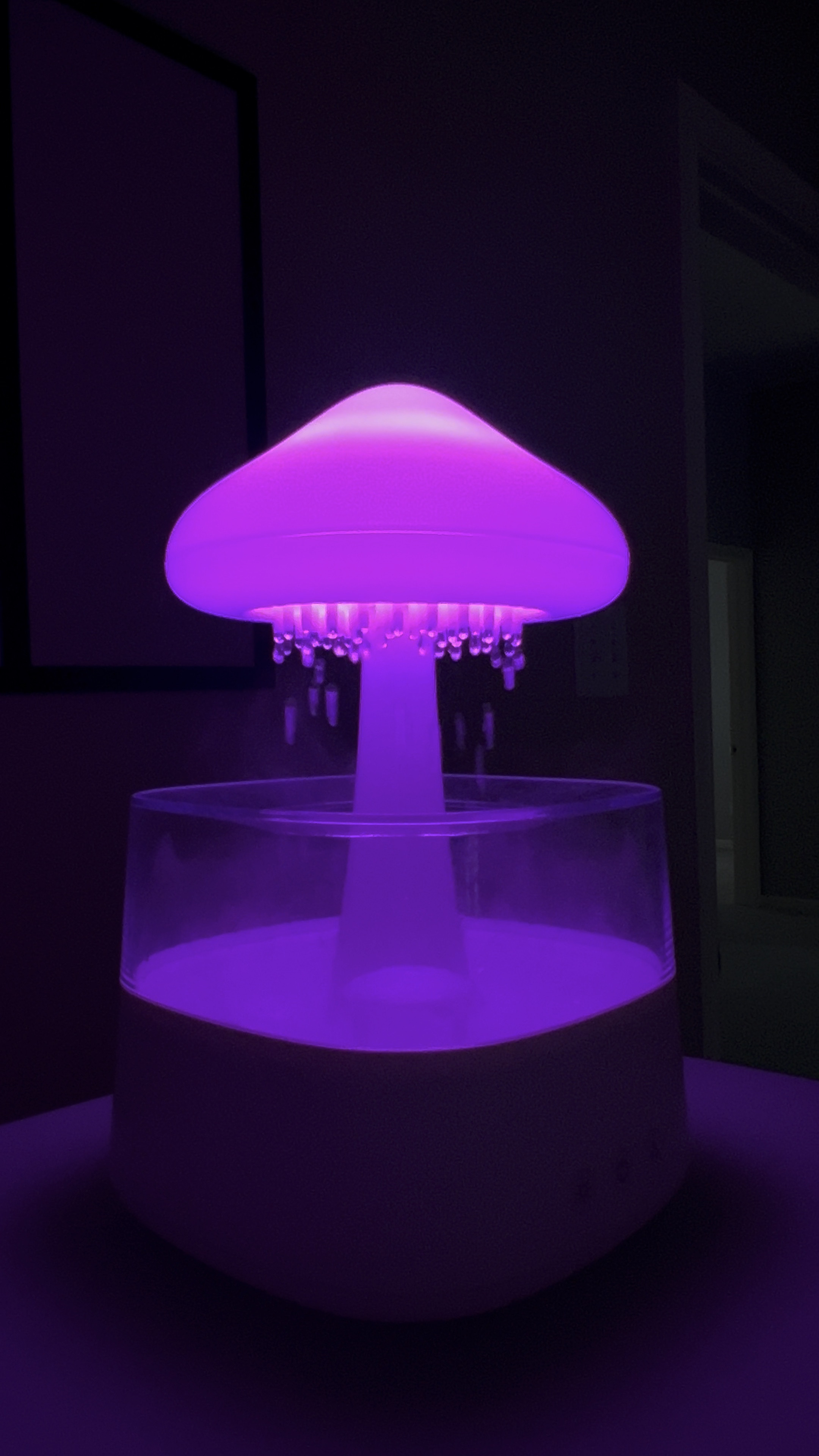 Mushroom humidifier with essential oils

#LTKhome #LTKGiftGuide #LTKfindsunder50