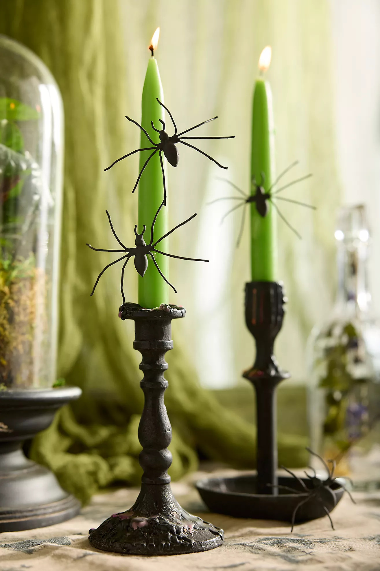 Spider Candle Pins, Set of 4 | Anthropologie (US)