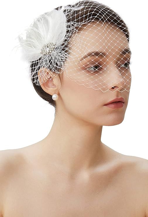 BABEYOND Veil Fascinator Hat for Women Feather Fascinators Hair Clip with Removable Veil Tea Part... | Amazon (US)