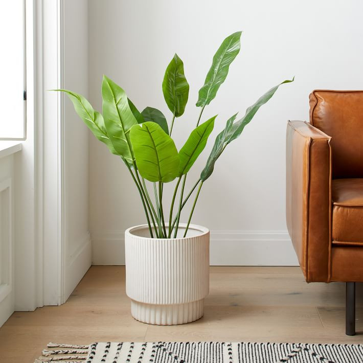 Faux Potted Bird of Paradise Plant | West Elm (US)