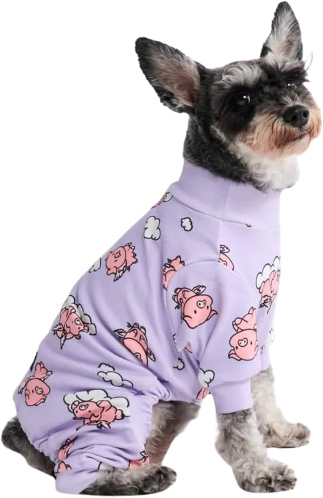Spark Paws Dog Pajama, Ultra-Soft and 4-Way Stretch, Recovery-Suit PJ Onesie for Small, Medium an... | Amazon (US)