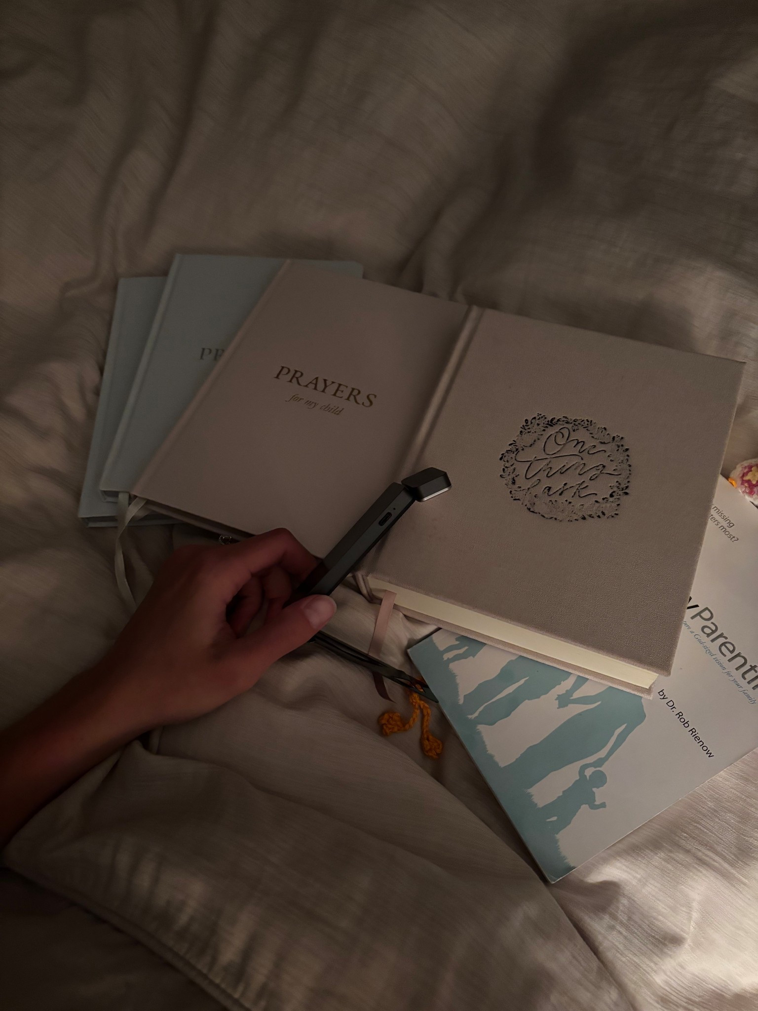 My Most Used Prayer Journals & Reading Light💡📖 

#LTKHome #LTKFamily #LTKKids