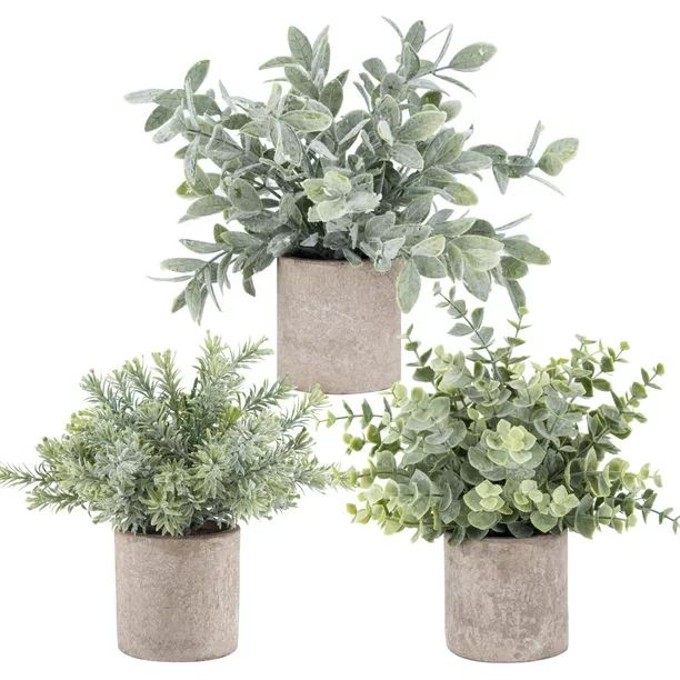 Der Rose 3 Pack Mini Potted Fake Plants Artificial Plastic Eucalyptus Plants for Home Office Desk... | Walmart (US)