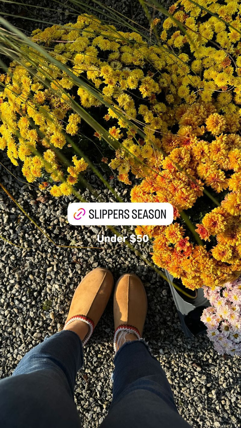 Comfy slippers for fall slipper season

#LTKSeasonal #LTKShoeCrush