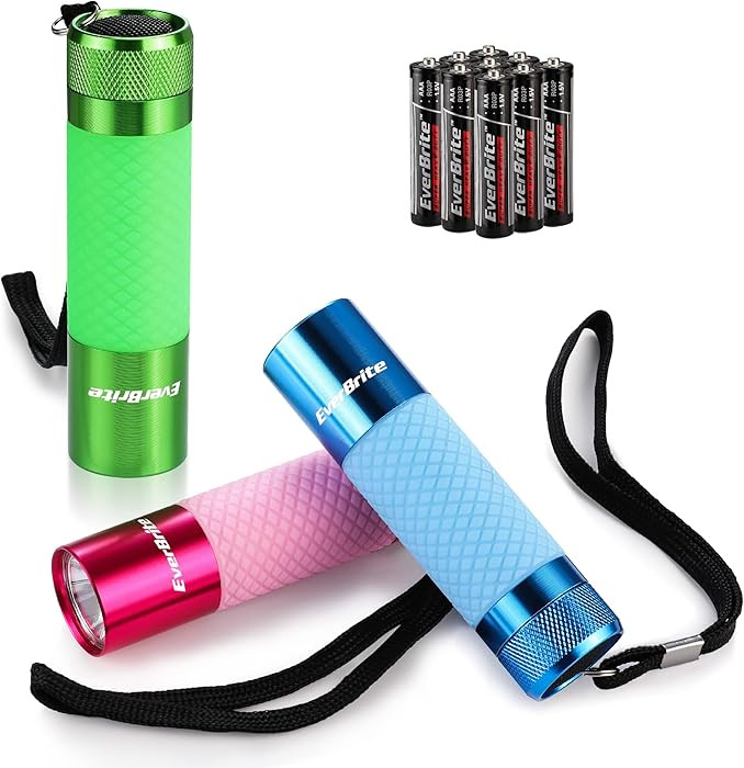 EverBrite 3-Pack Mini Flashlights, Glow in Dark Flashlights, Aluminum LED Flashlights Party Favor... | Amazon (US)