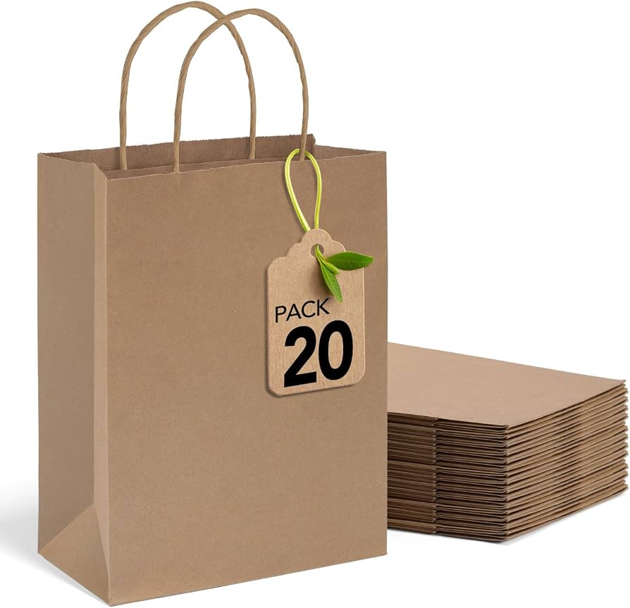 MESHA Brown Paper Bags 8x4.25x10.5 Inch 20Pcs, Paper Bags with Handles | Amazon (US)