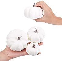 Lanpn Assorted Sizes Rustic Harvest White Fake Artificial Pumpkins for Halloween Fall Thanksgivin... | Amazon (US)