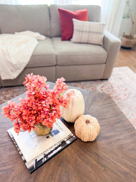 Fall decor / pumpkin decor / throw pillow / blankets / living room decor  / home decor 







Target finds , amazon finds , fall home decor , living room decor , fall decor

#LTKSeasonal #LTKhome #LTKstyletip