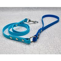 3Ft Two-Tone Biothane Dog Leash Waterproof Vegan Leather Lead | Etsy (US)