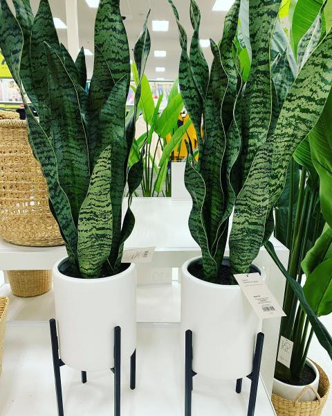 36" x 10" Artificial Snake Plant in Stand - Project 62™ | Target