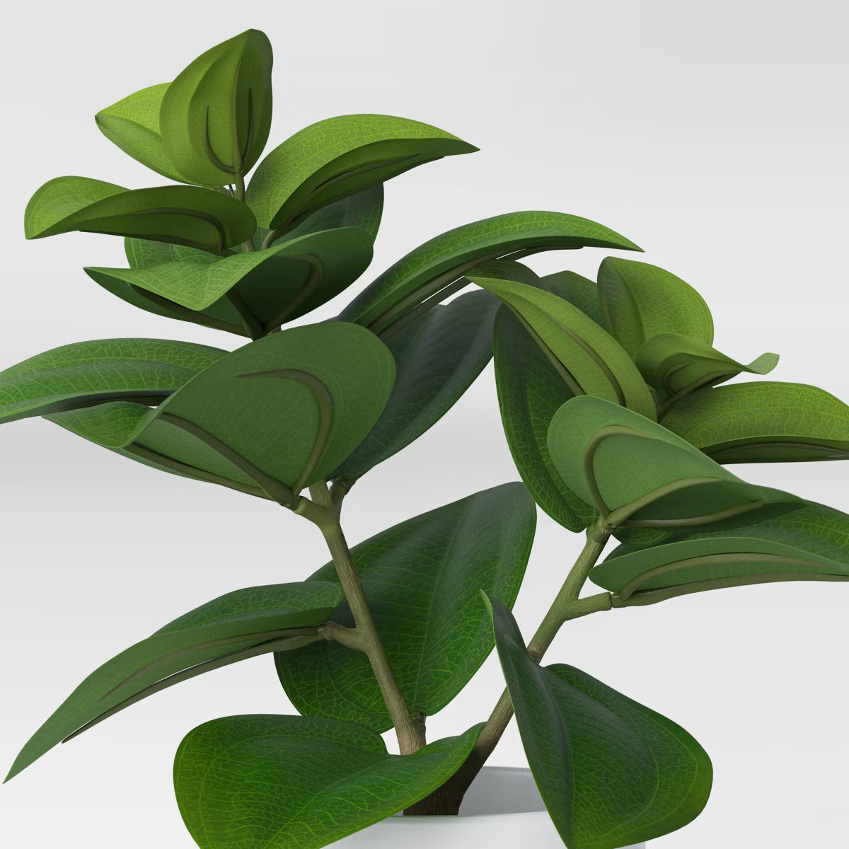 Artificial Leaf Plant - Threshold™: Peperomia Caperata in Melamine Pot, Indoor Faux Flora Decor | Target