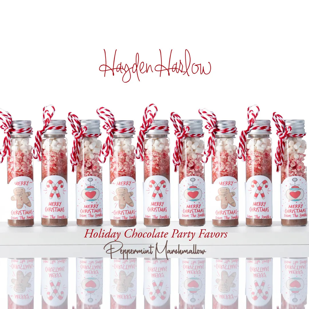 Holiday Hot Chocolate Flavor Edible Favors, Small Batch Party Toppings, Christmas Giftable Organi... | Etsy (US)