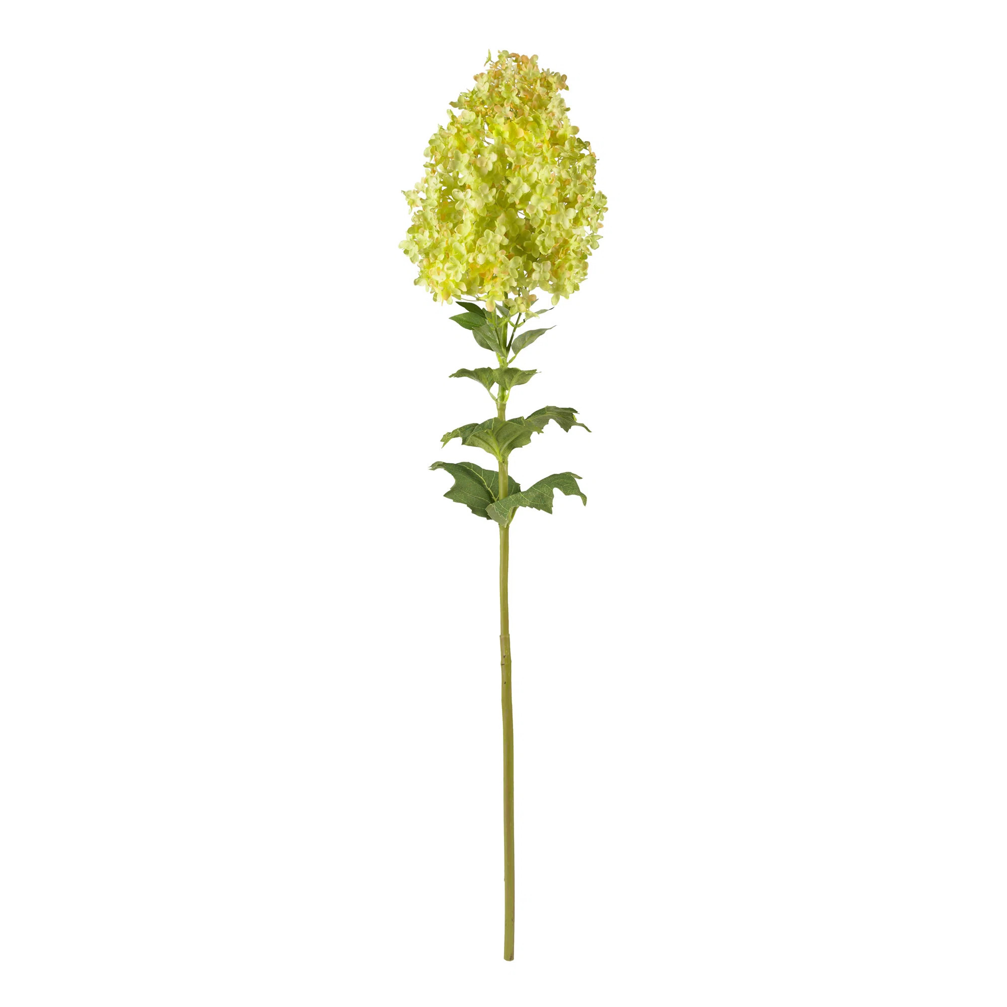 Hydrangea Stem | Wayfair North America