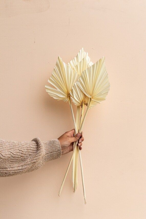 Luxe B Natural Sun Spear Palm Leaves Bleach White - 5 Stems | Etsy (US)