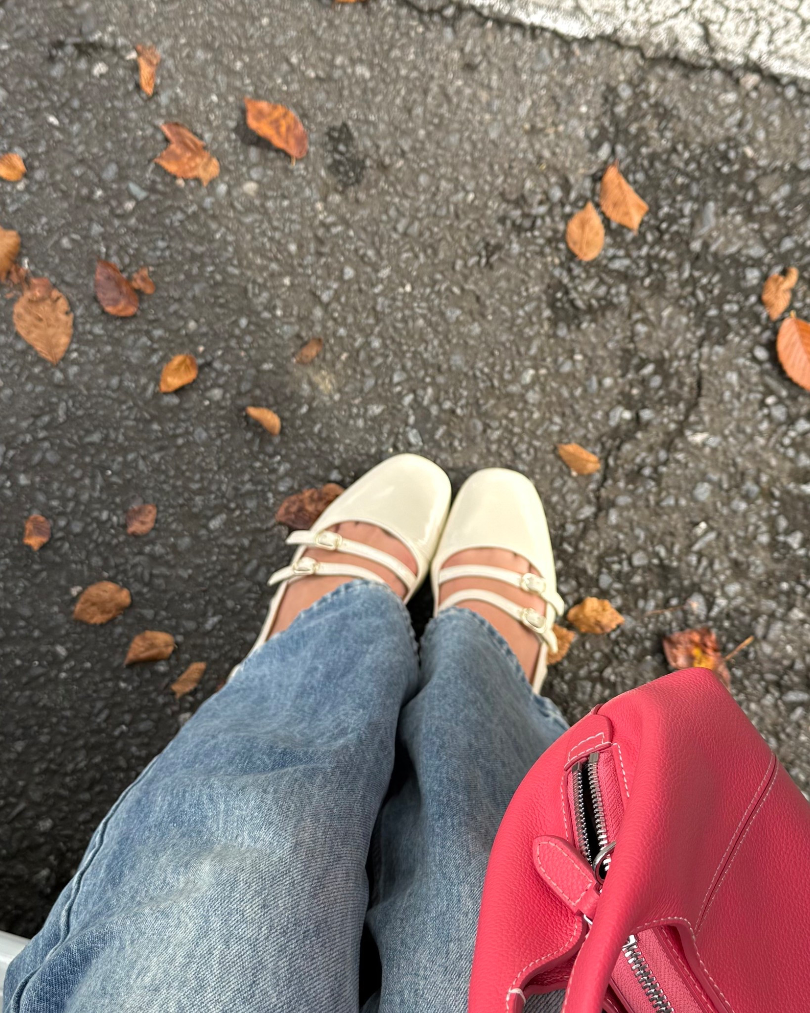 sezane Mary Jane’s <3 perf for fall!!

#LTKSeasonal #LTKShoeCrush #LTKStyleTip