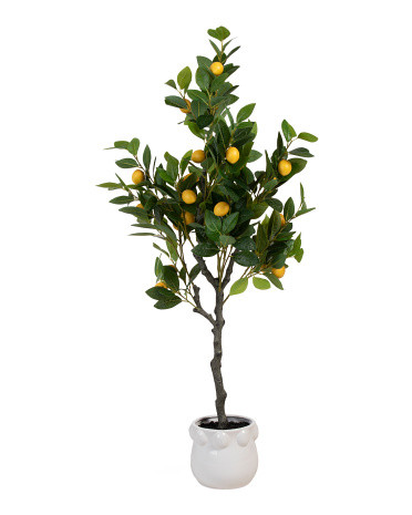 48in Outdoor Faux Lemon Tree | TJ Maxx