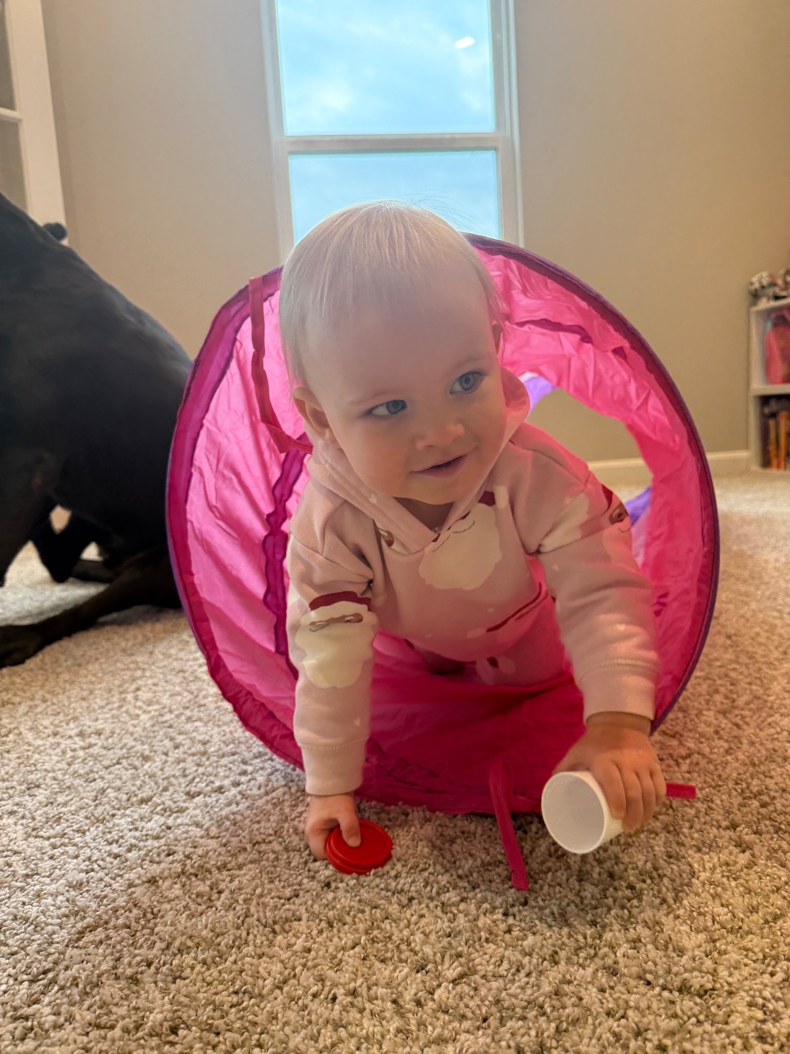 Finally getting to use one of her birthday gifts now that we’ve got space in the playroom! This tube is so much fun and would make a great Christmas gift!

#LTKGiftGuide #LTKHoliday #LTKKids