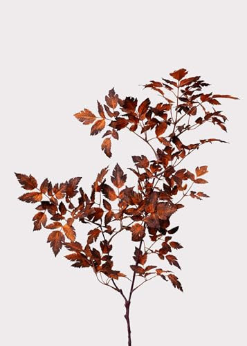 Afloral™ Faux Cimicifuga Leaf Spray in Brown - 31" | Amazon (US)