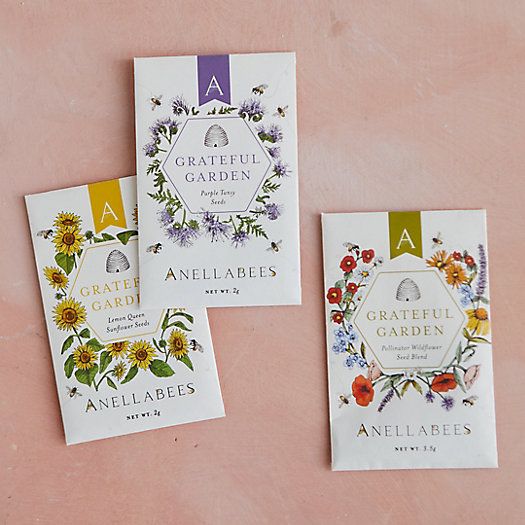 Anellabees Pollinator Seed Packets, Set of 3 | Terrain