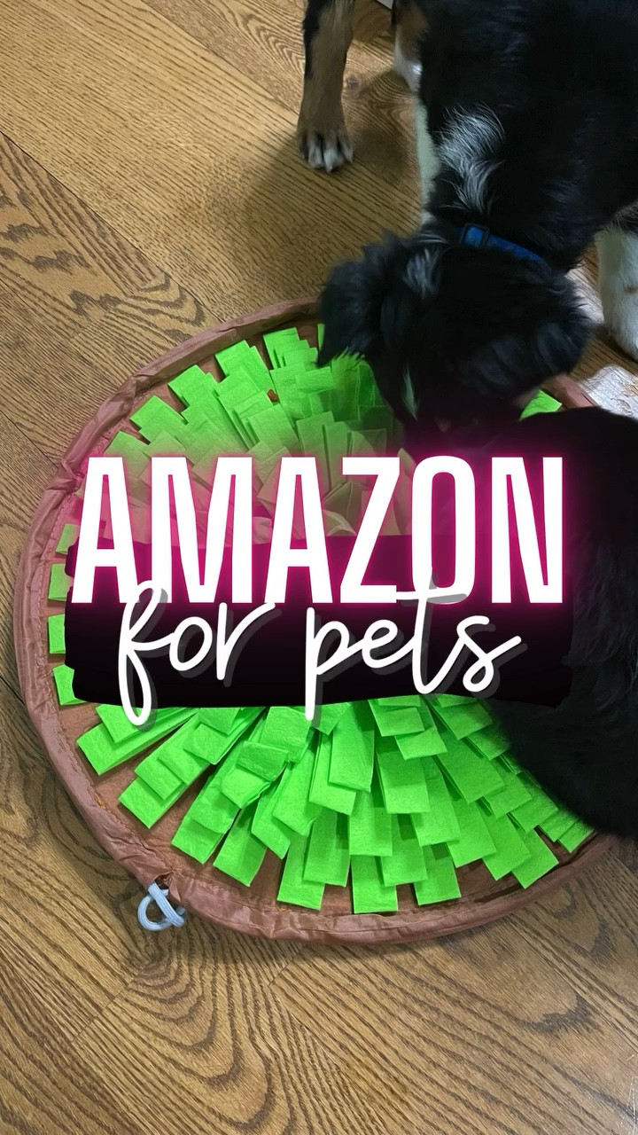 Snuffle Mats for dogs! 

Heart + Say “AMZ” for this  @simplylauradee AMAZON Find OR you can find everything linked in my Amazon Storefront (link in bio) in my February list! 🪩

#coloradomama⁠ #coloradolife⁠ #coloradoblogger⁠ #amazonfinds #founditonamazon ⁠#amazonfashion⁠ #amazonprime⁠ #amazonkitchen⁠ #amazonhome #boymomlife #simplylauradee #midsize #homestead #homesteadlife #modernhomestead #30minutemeals #cookingathome #homecanning #canningandpreserving #preservingfood #australianshepherd #puppygram