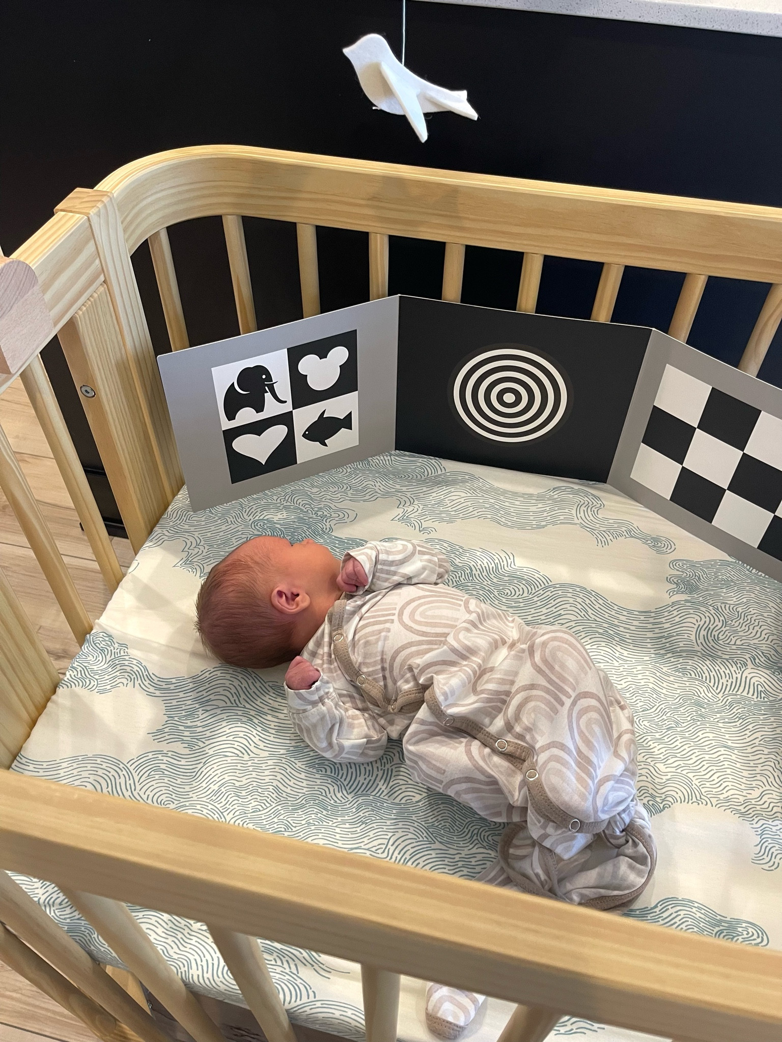 At a few weeks old Ari LOCKED in on these fold out cards 👶🏼