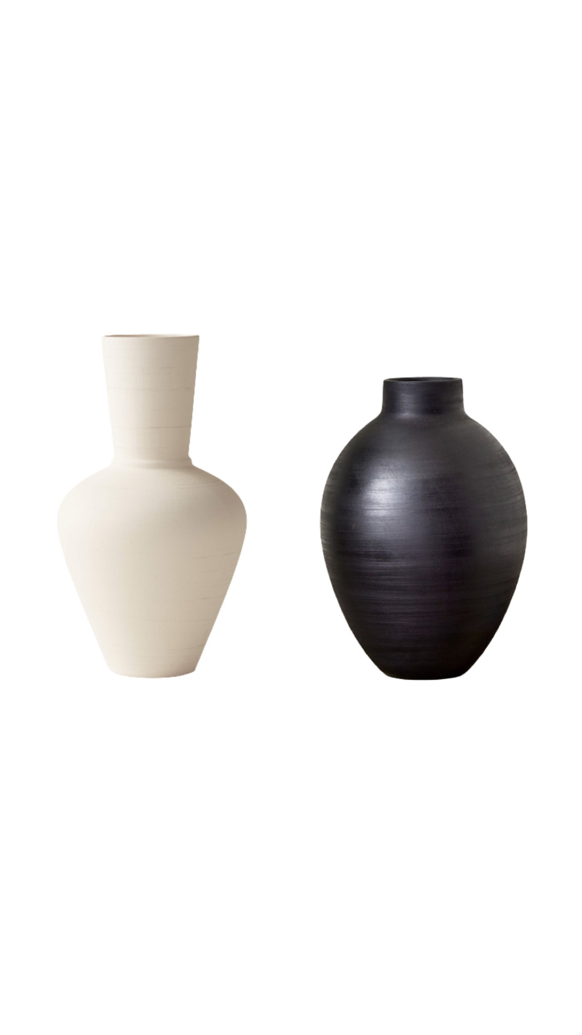 Vases for Delphinium Bundle
