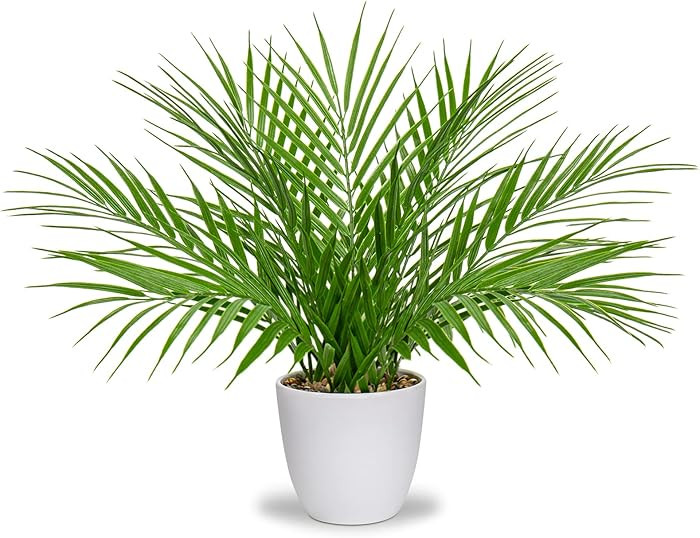 Briful Fake Plant 15’’ Artificial Palm Plant in White Pot Real Touch Faux Tropical Palm Tree ... | Amazon (US)