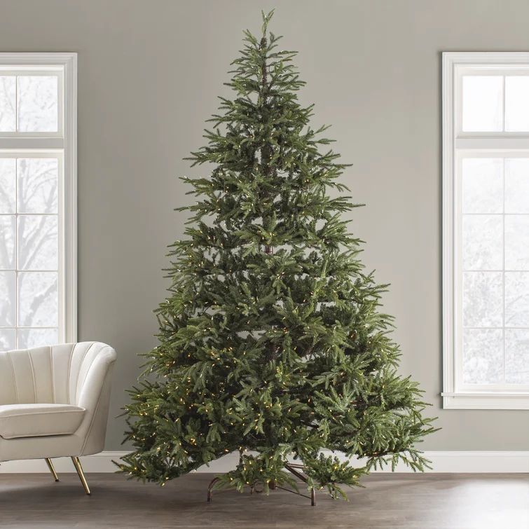 Jersey Fraser Lighted Artificial Fir Christmas Tree | Wayfair Professional