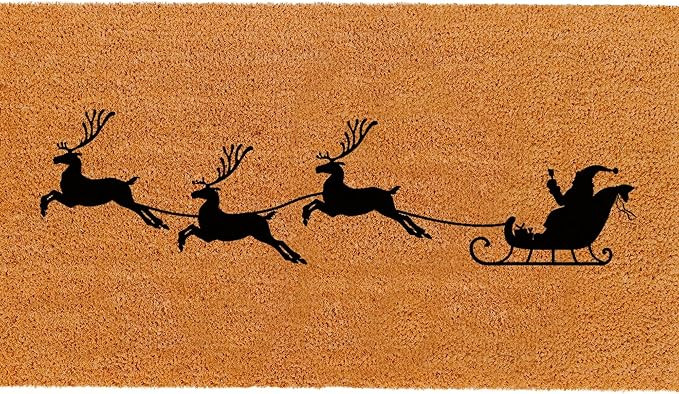 Amazon.com: Theodore Magnus Natural Coir Doormat with Non-Slip Backing - 17 x 30 - Outdoor / Indo... | Amazon (US)