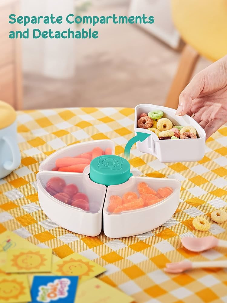 HEETA Baby Food Storage Container, Snack Box for Kids with 4 Removable Compartment and Lids, Reus... | Amazon (US)