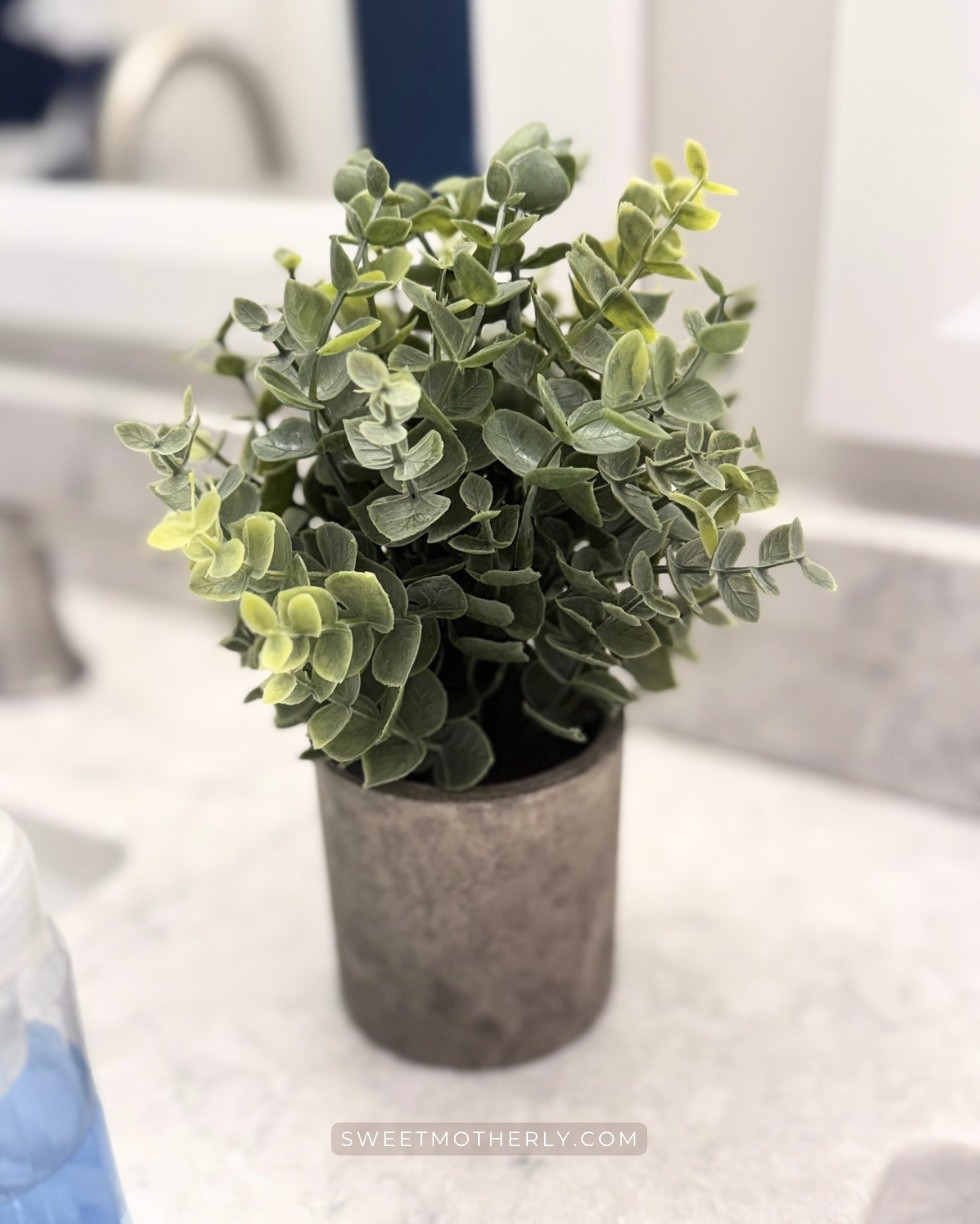 I snagged a two pack of these cute faux eucalyptus plants for a great price and they’re the perfect pick me up for bathrooms!

faux indoor plants
artificial greenery
realistic fake plants
maintenance-free decor plants
faux potted plants
artificial houseplants
lifelike faux greenery
fake plants for shelves
home decor greenery

#LTKSaleAlert #LTKHome #LTKSeasonal