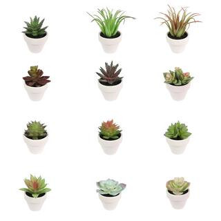 Assorted Micro Premade Succulent by Ashland® | Michaels® | Michaels Stores