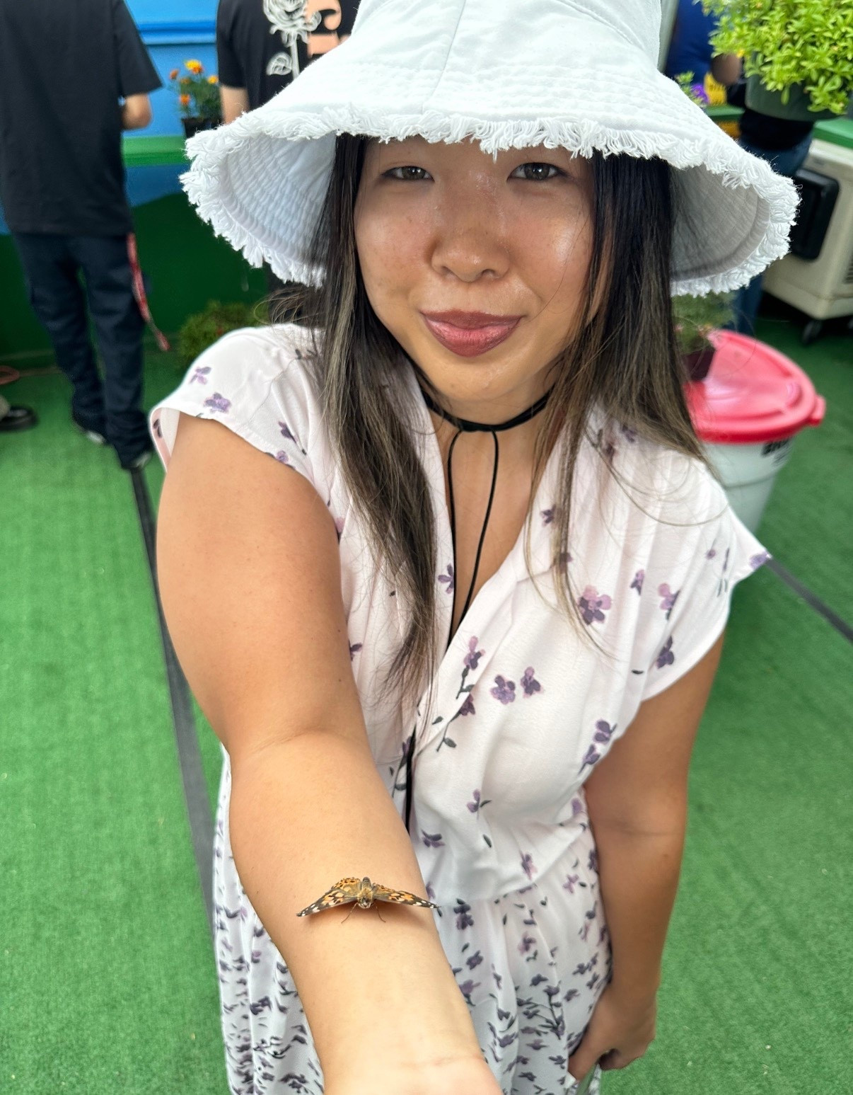 Uncommon james
Black choker
Laguna beach 
Back in stock 

#LTKTravel #LTKFestival #LTKgrwm