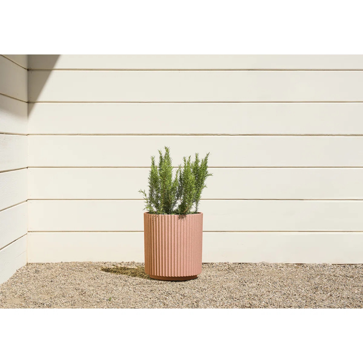 Demi Series Round Planter | Wayfair North America
