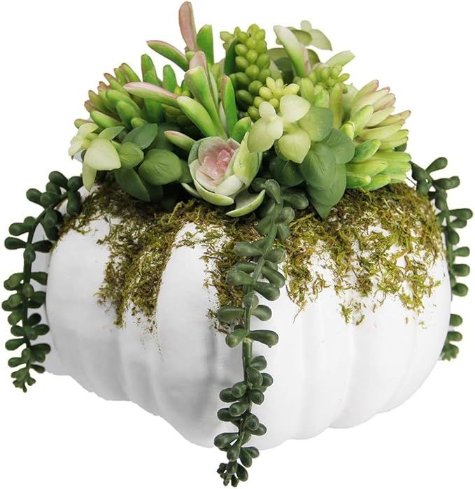 winemana Thanksgiving Decorations Pumpkin with Artificial Succulents, 8.8" x 8.2" White Foam Pump... | Amazon (US)