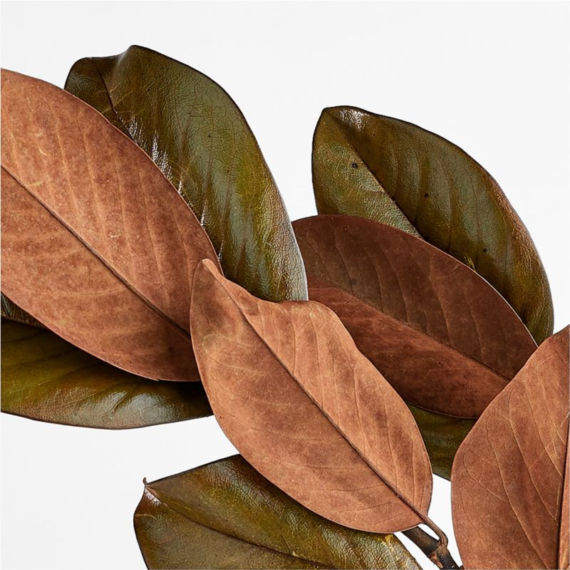 Dried Magnolia Leaf Bunch + Reviews | Crate and Barrel | Crate & Barrel