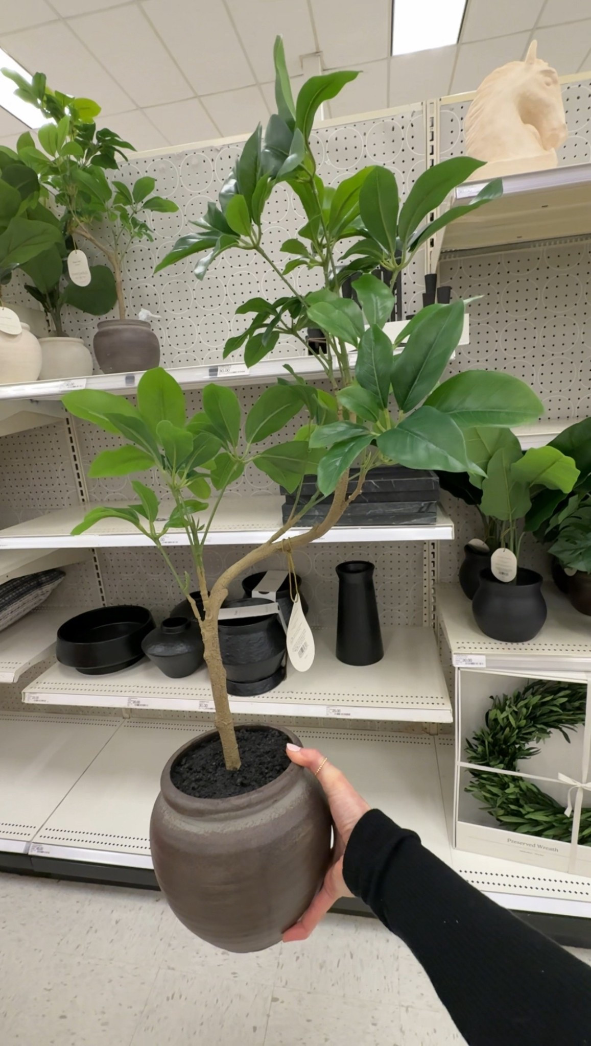 Kitchen counter finds 

#LTKdayinmylife #LTKHome #LTKSaleAlert