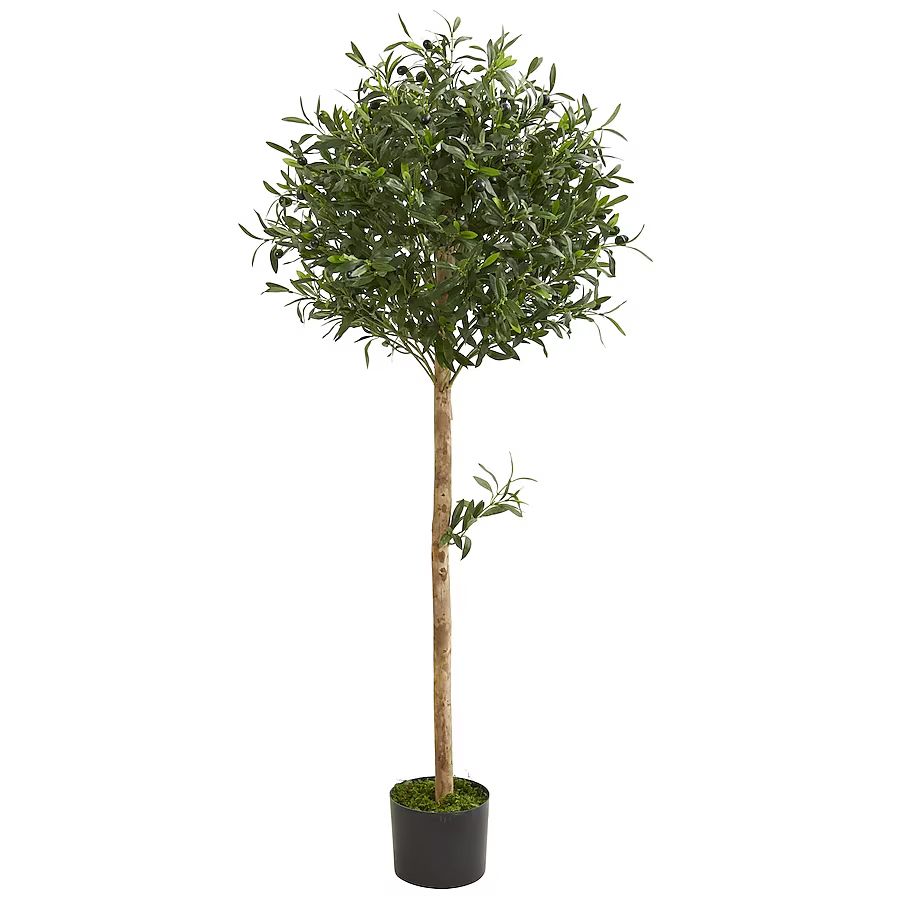 Nearly Natural 60-in Green Indoor Artificial Olive Trees | Lowe's
