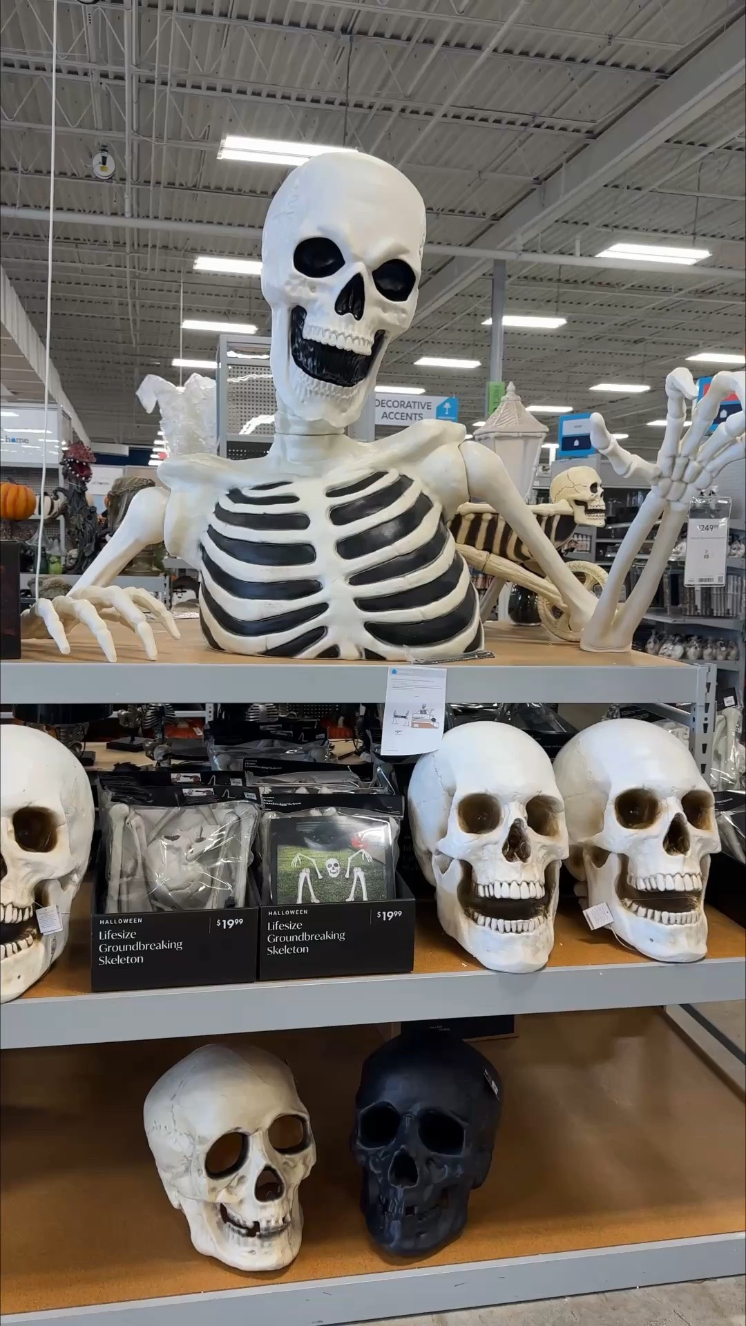 At home Halloween decor, spooky season, halloween porch, halloween icon glass, fall icon glass, fall decor, Halloween home decor, giant skeleton, ground breaker skeleton, wicker pumpkins, porch pumpkins 

At Home always has such fun Halloween decor and fall decor for your home, porch, etc!😍🎃

#LTKSeasonal #LTKHome