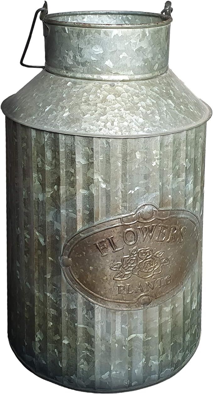 Vintage Industrial Farmhouse Chic Flowers and Plants Can with Handle (Does Not Come with Flowers) | Amazon (US)