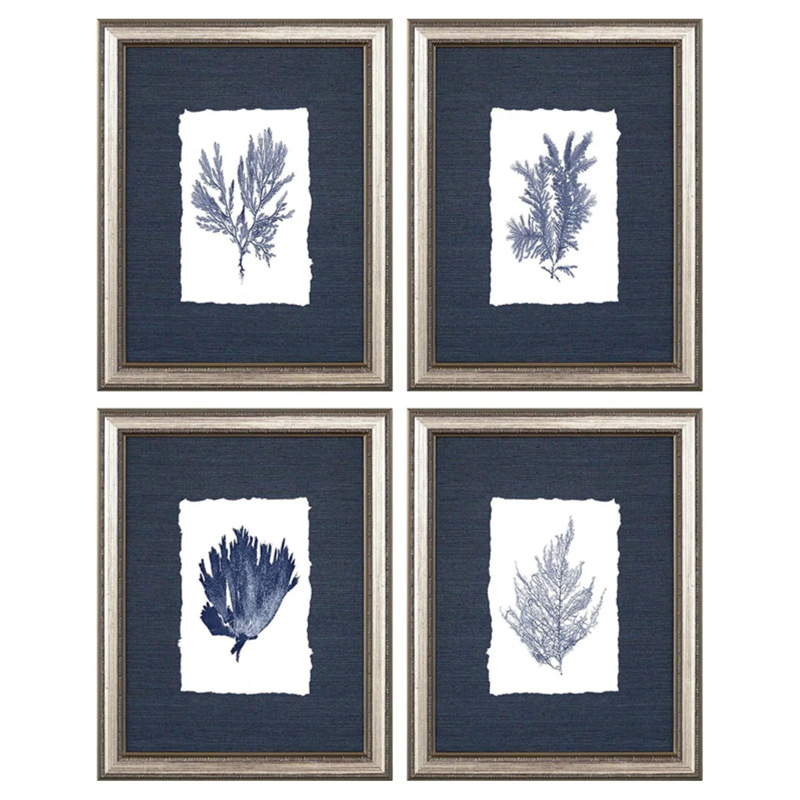 Paragon Blue Coral Framed Wall Art - Set of 4 | Walmart (US)