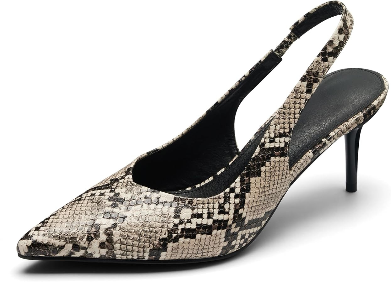 Kitten Pumps for Women with Buckle, Classic Pointed Toe Stiletto Heels Slingback for Office, Part... | Amazon (US)