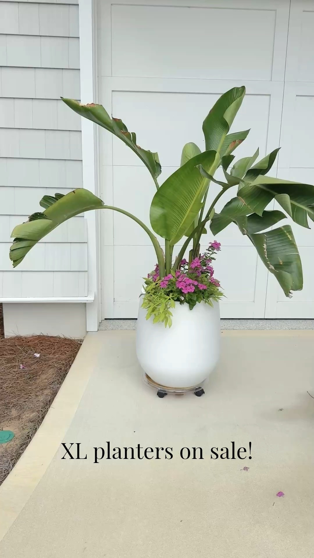 XL outdoor planters. This is the largest size. $60 off the price I paid a couple weeks ago 😮‍💨.

#LTKHome #LTKSaleAlert