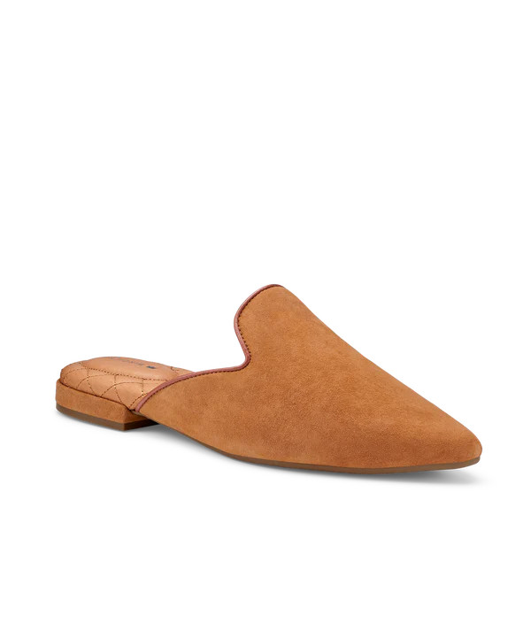 The Dove - Golden Oak Suede | BIRDIES