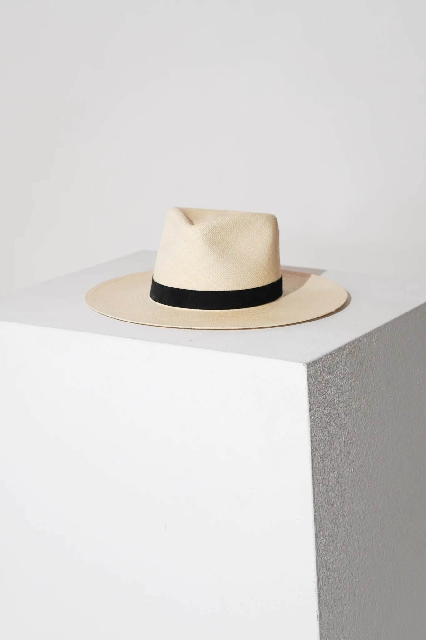 Spencer | Janessa Leone