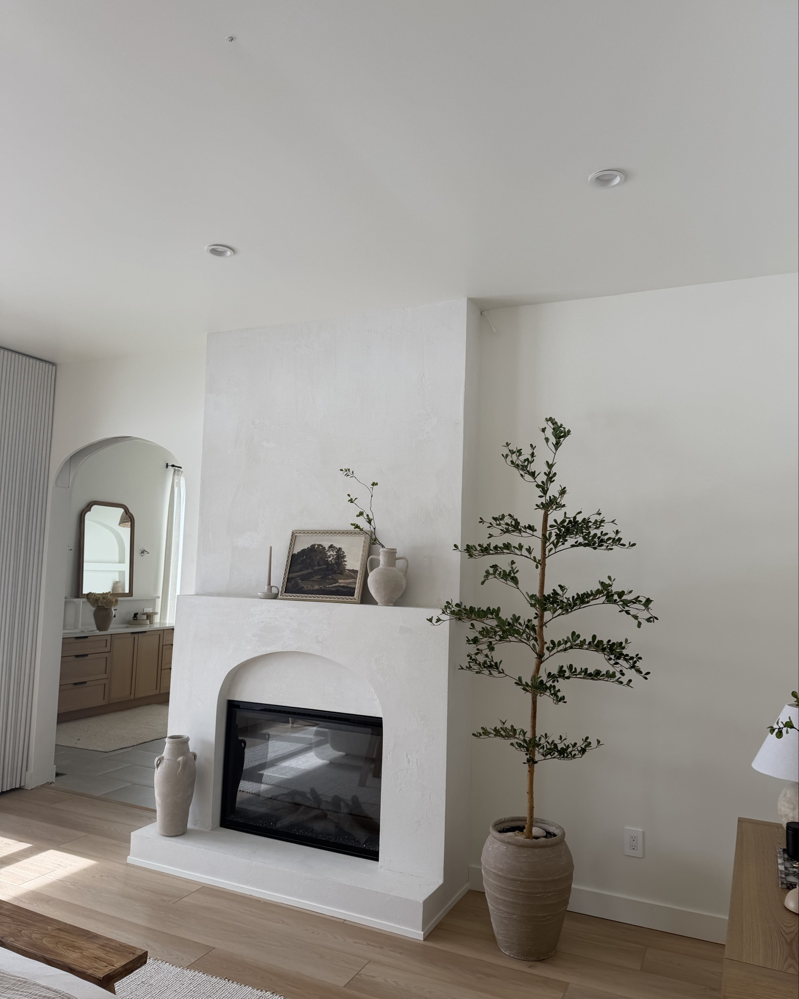 Cute and simple black olive tree - I got the 7ft one! 