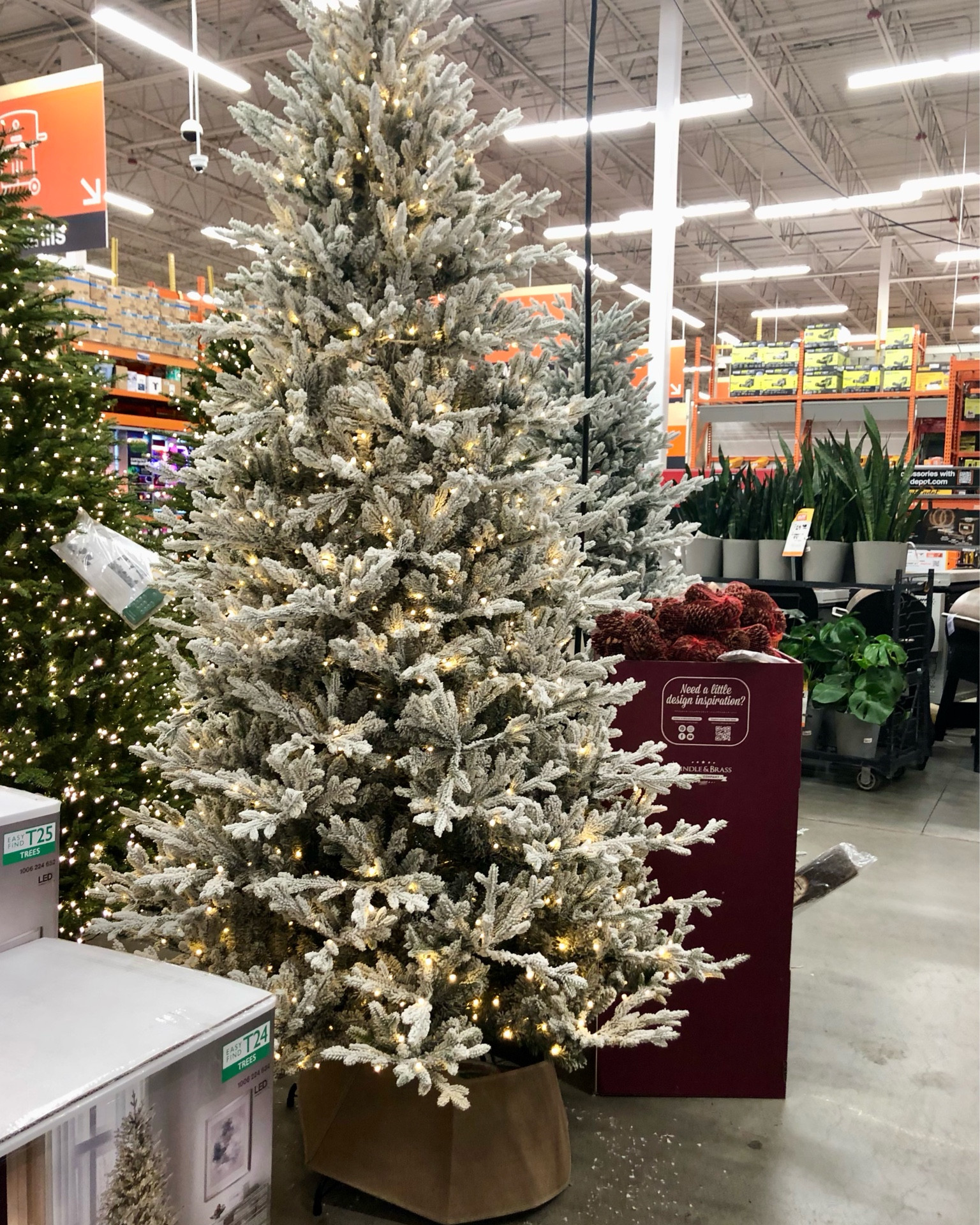 I love a flocked Christmas tree. Thought this one was pretty and looked real. 🎄 

Christmas tree
Christmas decor
Holiday decor 

#LTKSeasonal #LTKHoliday #LTKhome